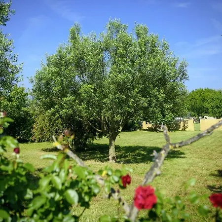 Istria Rosa In - Istrien Guest house Pula