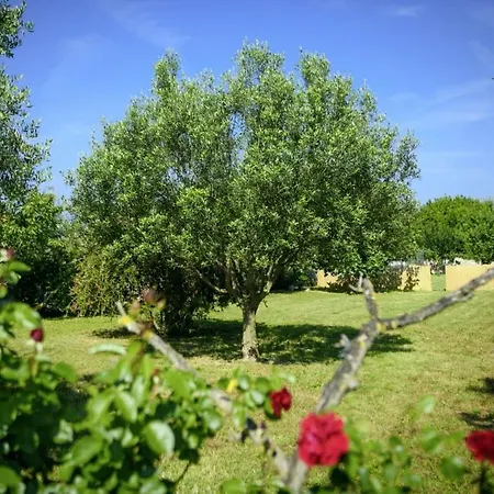 Istria Rosa In - Istrien